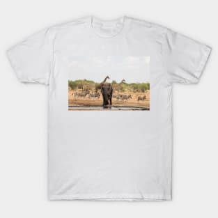 Zebra giraffe and elephant at the waterhole T-Shirt